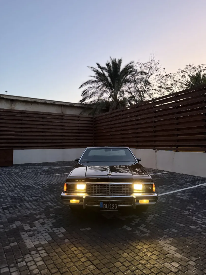 1974 Chevrolet Caprice Caprice 5.0 LS Lefkoşa Satılık İkinci El | GalerimPlus - Thumbnail 2