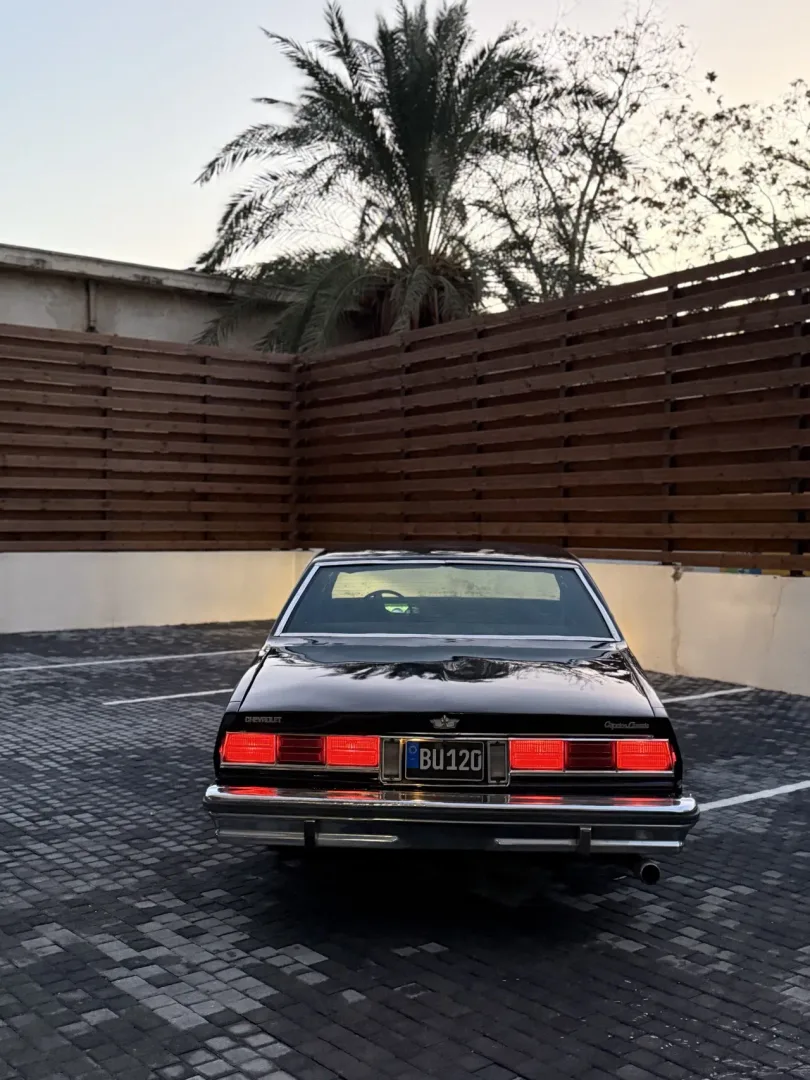 1974 Chevrolet Caprice Caprice 5.0 LS Lefkoşa Satılık İkinci El | GalerimPlus - Thumbnail 5
