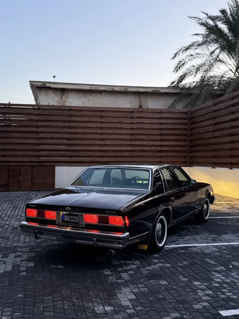 1974 Chevrolet Caprice Caprice 5.0 LS Lefkoşa Satılık İkinci El | GalerimPlus - Thumbnail 6